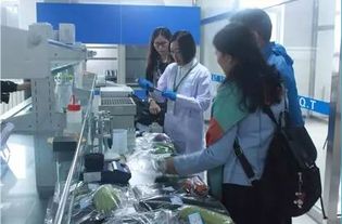 李忠副局長率隊調研供深食用農產品安全與研發工作，筑牢市民“舌尖上的防線”