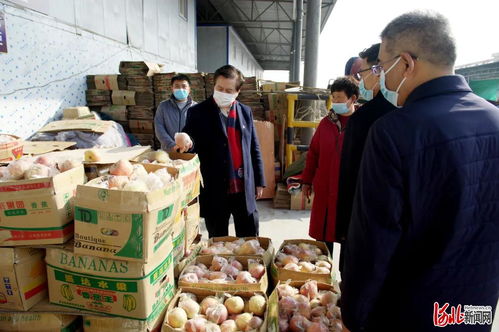 邢臺市市場監管局黨組書記柳金鐘實地調研食用農產品市場銷售信息追溯系統建設 筑牢食品安全防線，推動追溯技術研發創新